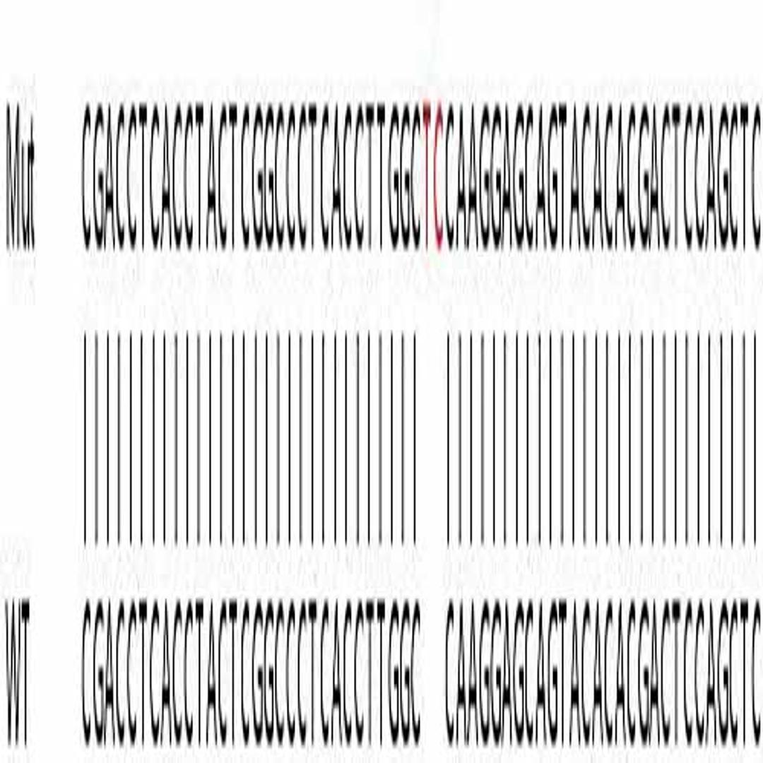 Human DLD (Lipoamide Dehydrogenase) knockout HeLa cell line - Abcam plc - Life Sciences