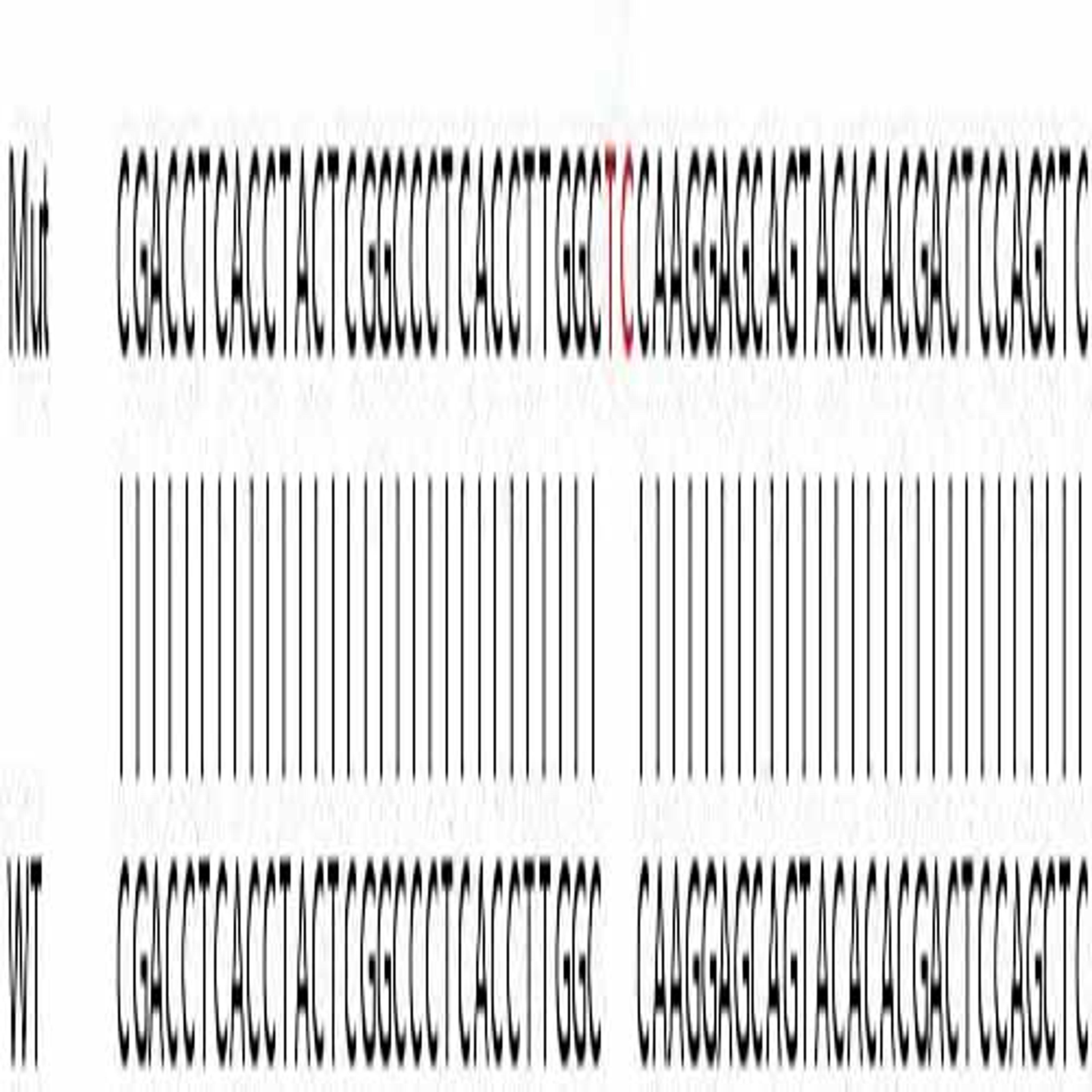 Human DLD (Lipoamide Dehydrogenase) knockout HeLa cell line - Abcam plc - Life Sciences