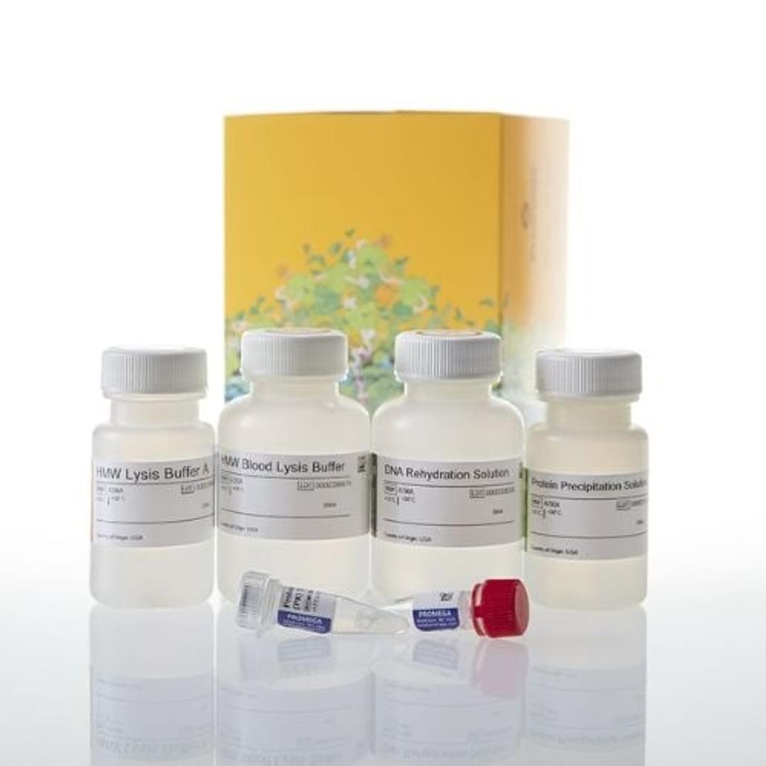 Wizard® HMW DNA Extraction Kit - Promega Corp. - Life Sciences