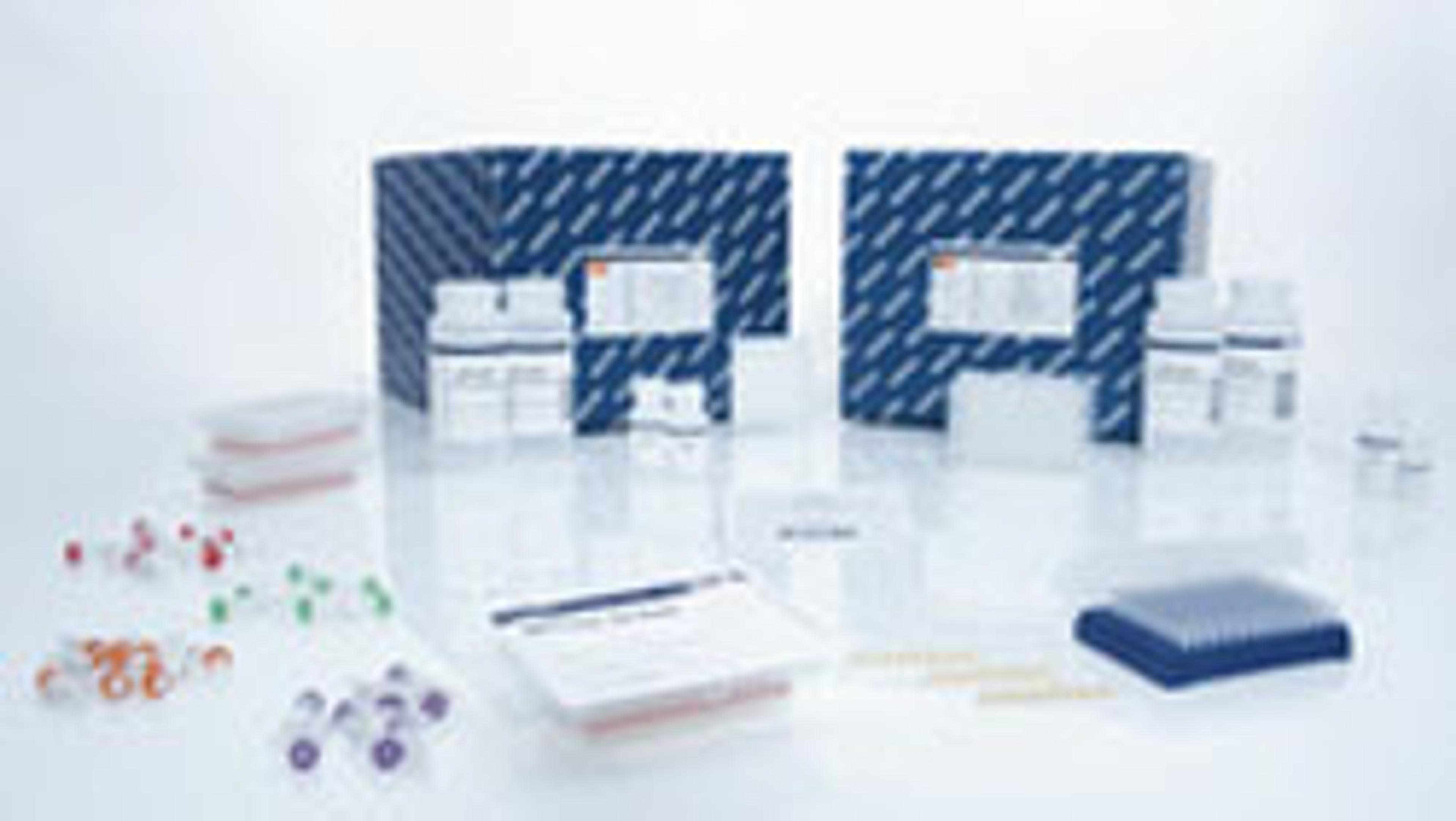 QIAamp Media MDx Kit (12) - QIAGEN