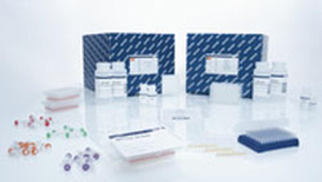 QIAamp Media MDx Kit (12) - QIAGEN