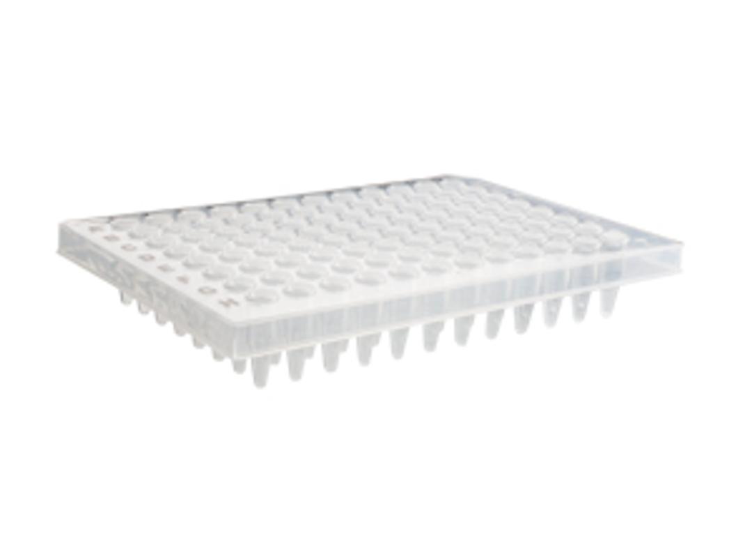 Axygen® 96-well Polypropylene PCR Microplate, Half Skirt, Clear, Nonsterile - Corning Life Sciences - Life Sciences
