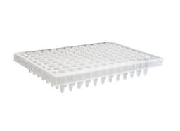 Axygen® 96-well Polypropylene PCR Microplate, Half Skirt, Clear, Nonsterile - Corning Life Sciences - Life Sciences