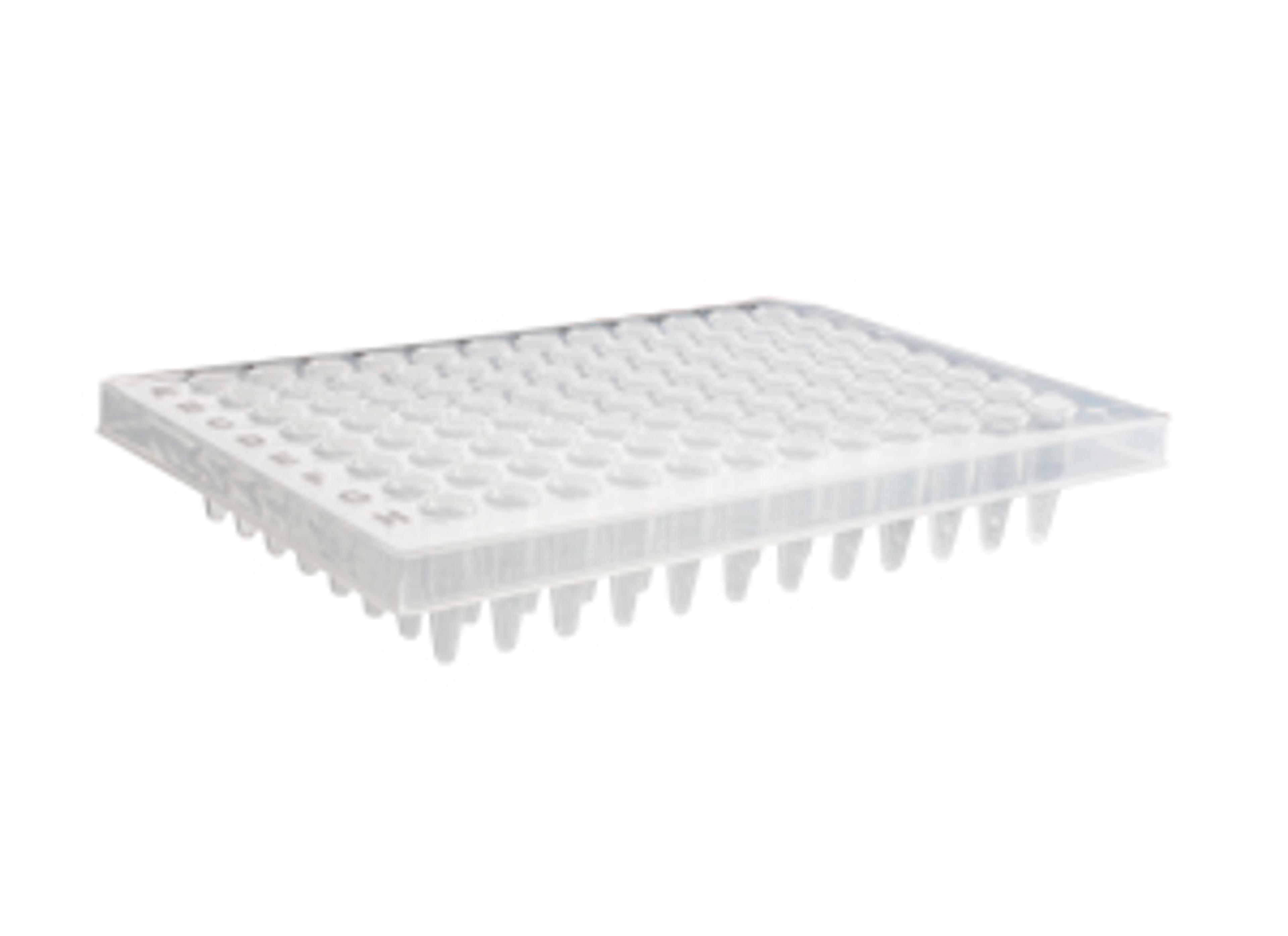 Axygen® 96-well Polypropylene PCR Microplate, Half Skirt, Clear, Nonsterile - Corning Life Sciences - Life Sciences
