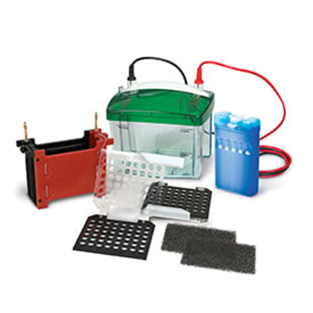 Mini Trans-Blot® Electrophoretic Transfer Cell - Bio-Rad - Life Sciences