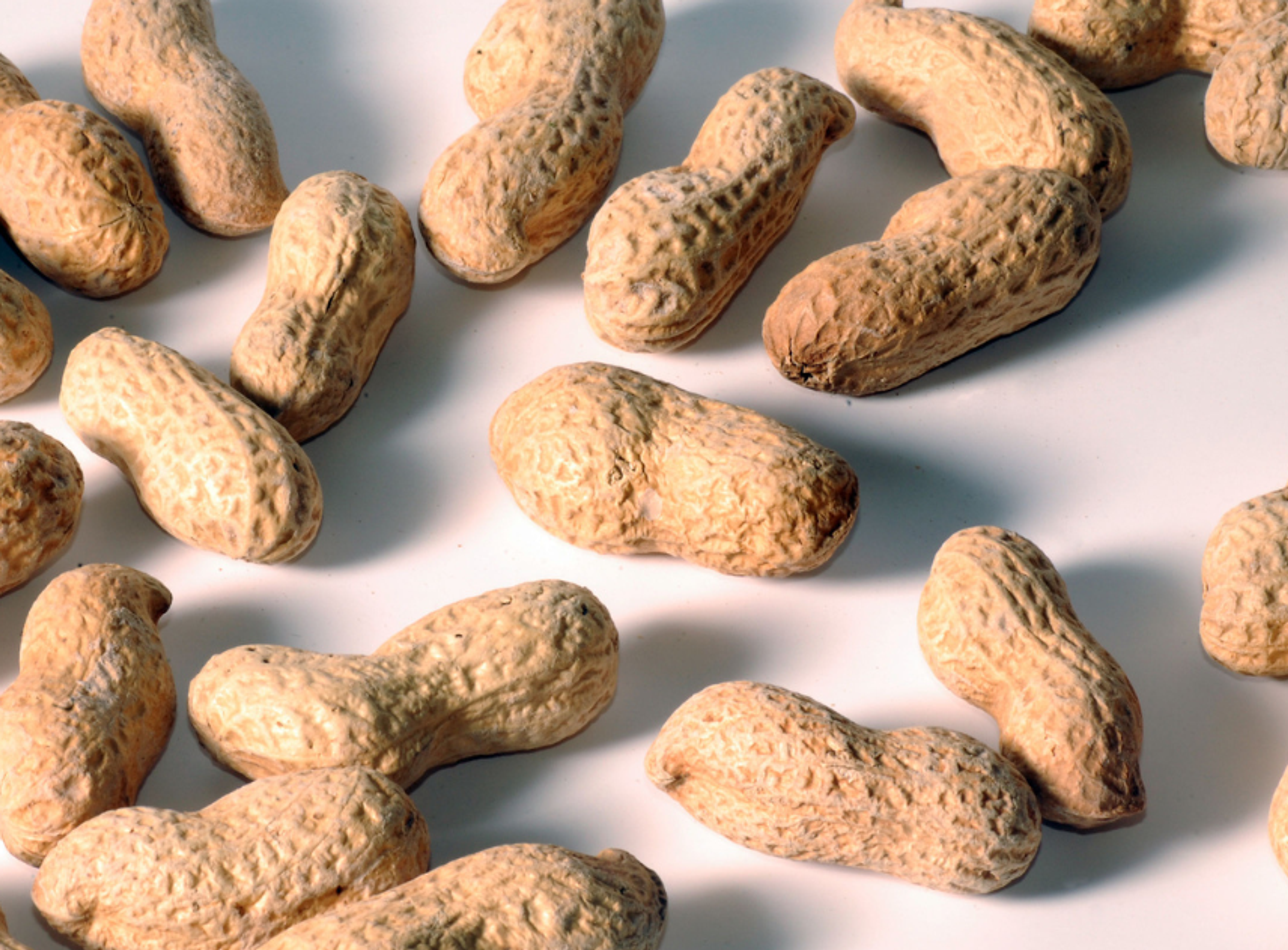 Image of peanuts in shells
