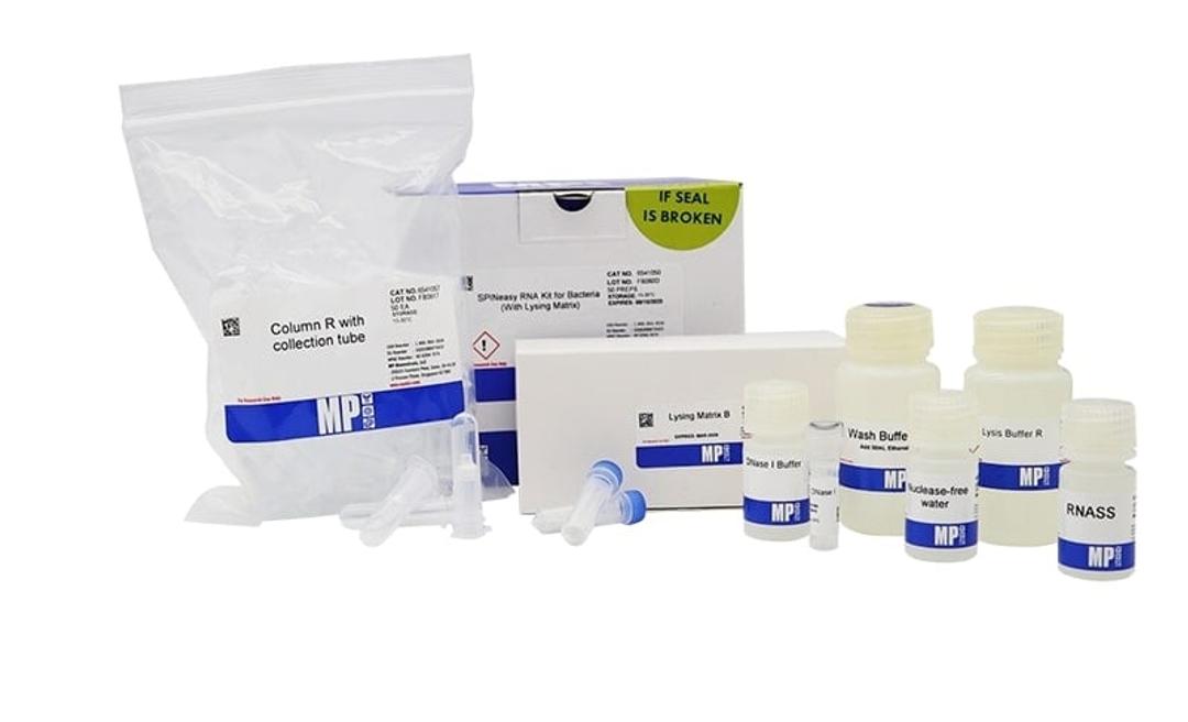 SPINeasy RNA Kit for Bacteria - MP Biomedicals - Life Sciences