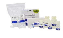 SPINeasy RNA Kit for Bacteria - MP Biomedicals - Life Sciences