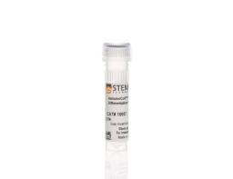 ImmunoCult™ Mouse Treg Differentiation Supplement - STEMCELL Technologies Inc. - Life Sciences