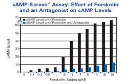 cAMP-Screen® and cAMP-Screen Direct® Chemiluminescent Immunoassay System for Determination of cAMP Concentration - Thermo Fisher Scientific - Drug discovery > Lead Discovery