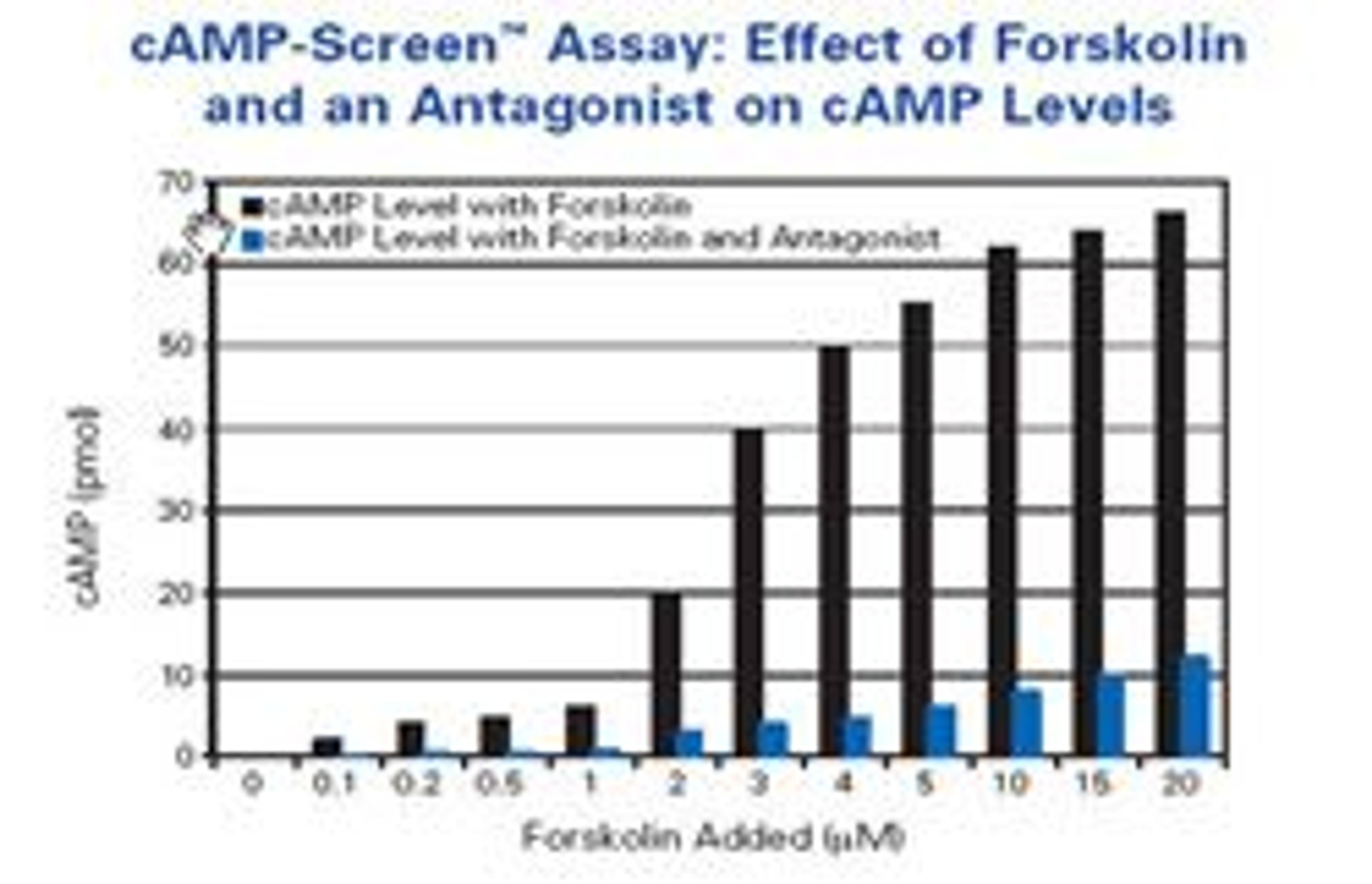 cAMP-Screen® and cAMP-Screen Direct® Chemiluminescent Immunoassay System for Determination of cAMP Concentration - Thermo Fisher Scientific - Drug discovery > Lead Discovery
