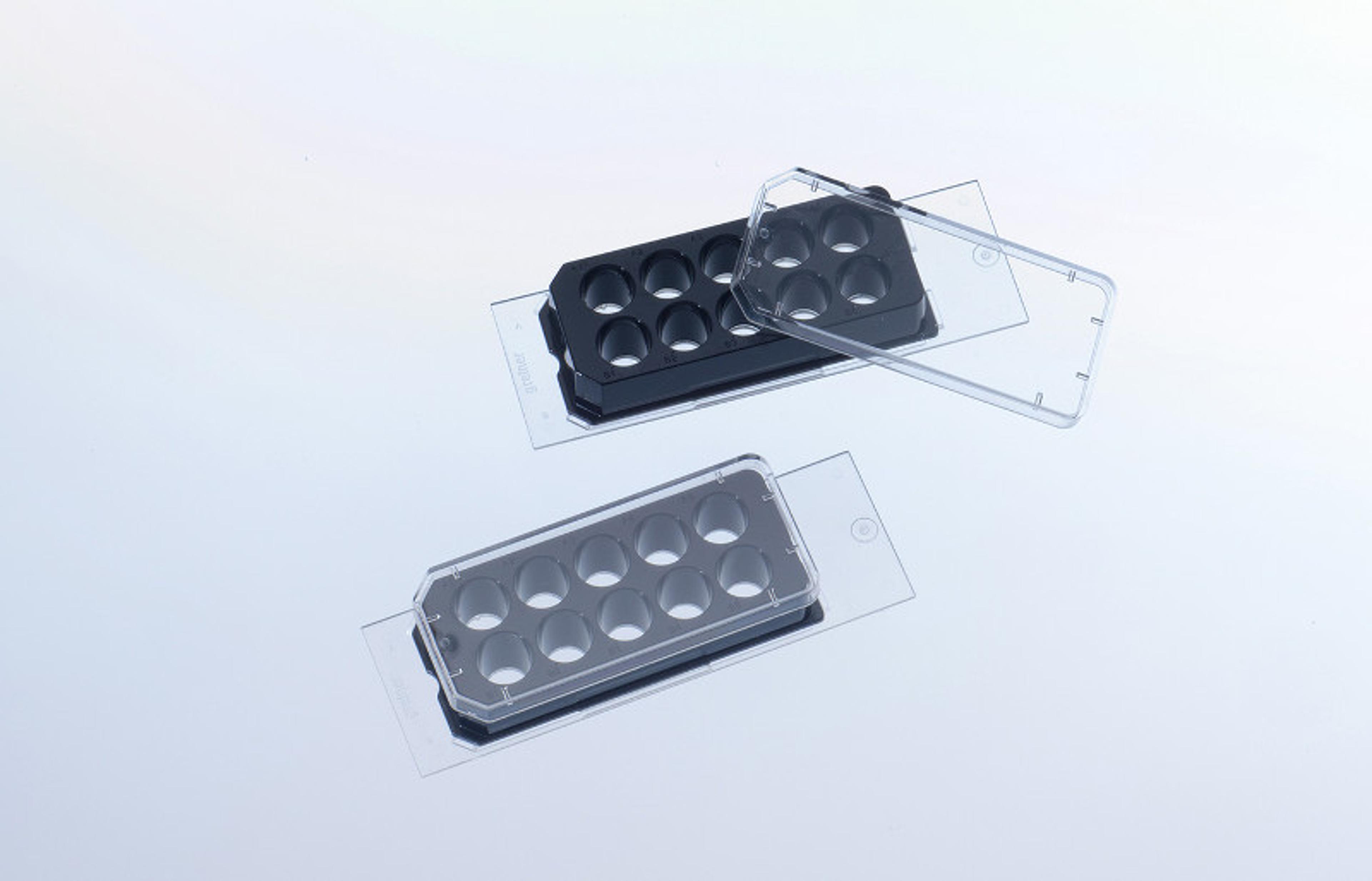 CELLview Slide - Microscopic Slide with Glass Bottom - Greiner Bio-One GmbH - Life Sciences