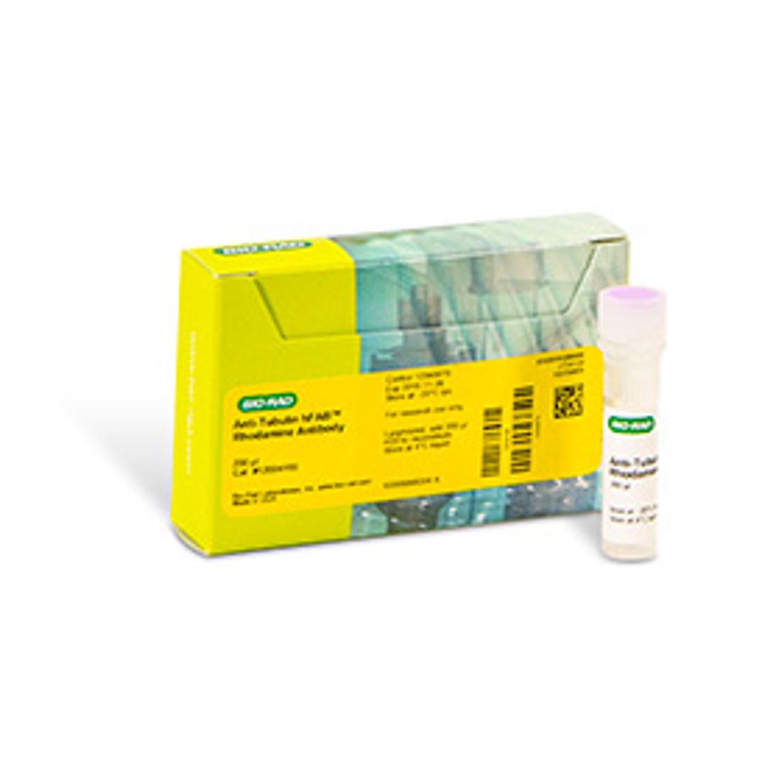 hFAB™ Rhodamine Anti-Tubulin Primary Antibody, 200 µl - Bio-Rad - Life Sciences