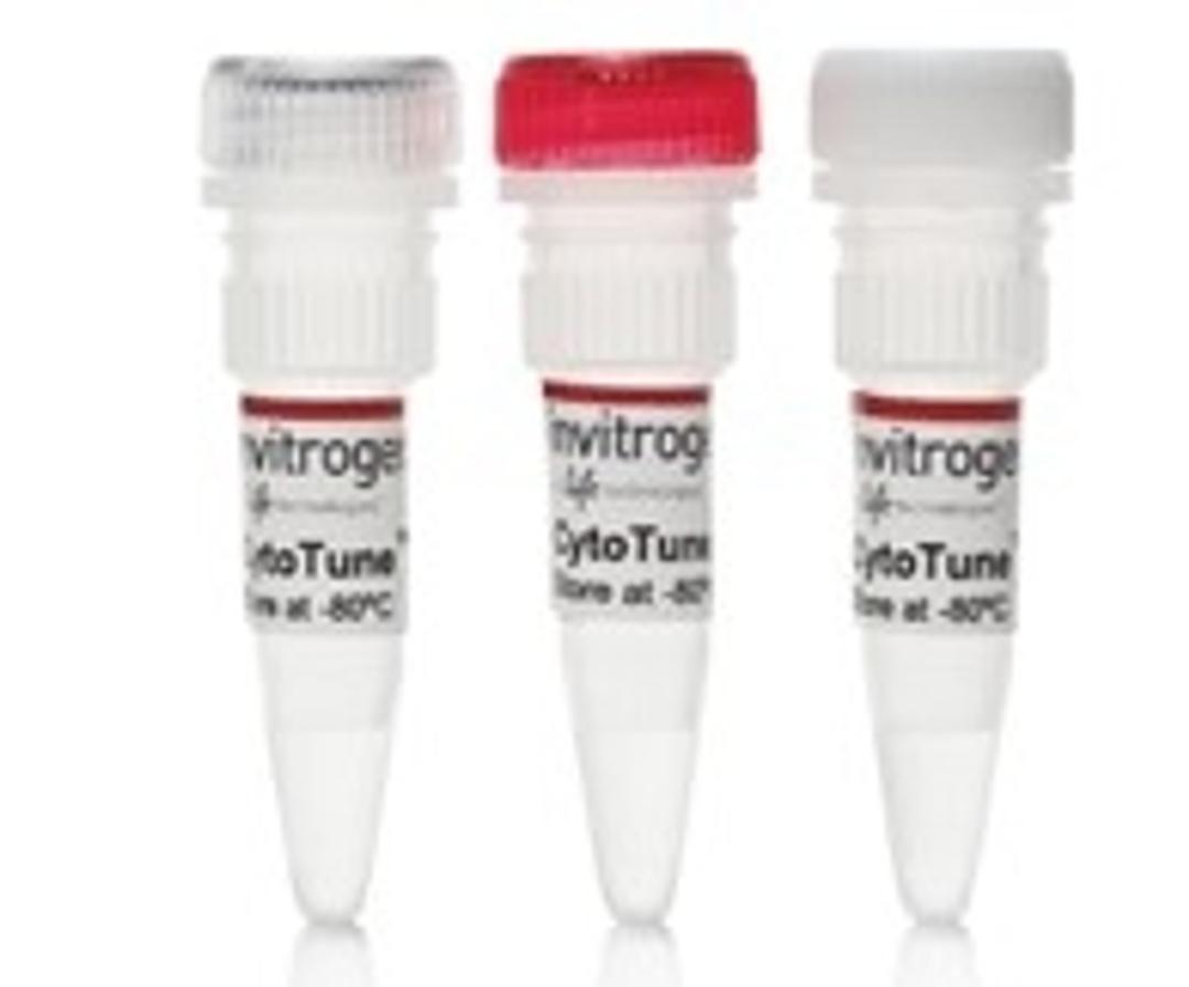 Stem Cell Services - Thermo Fisher Scientific - Life Sciences