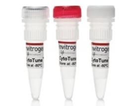 Stem Cell Services - Thermo Fisher Scientific - Life Sciences