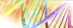 Gene Synthesis Services - Bioneer - Life Sciences