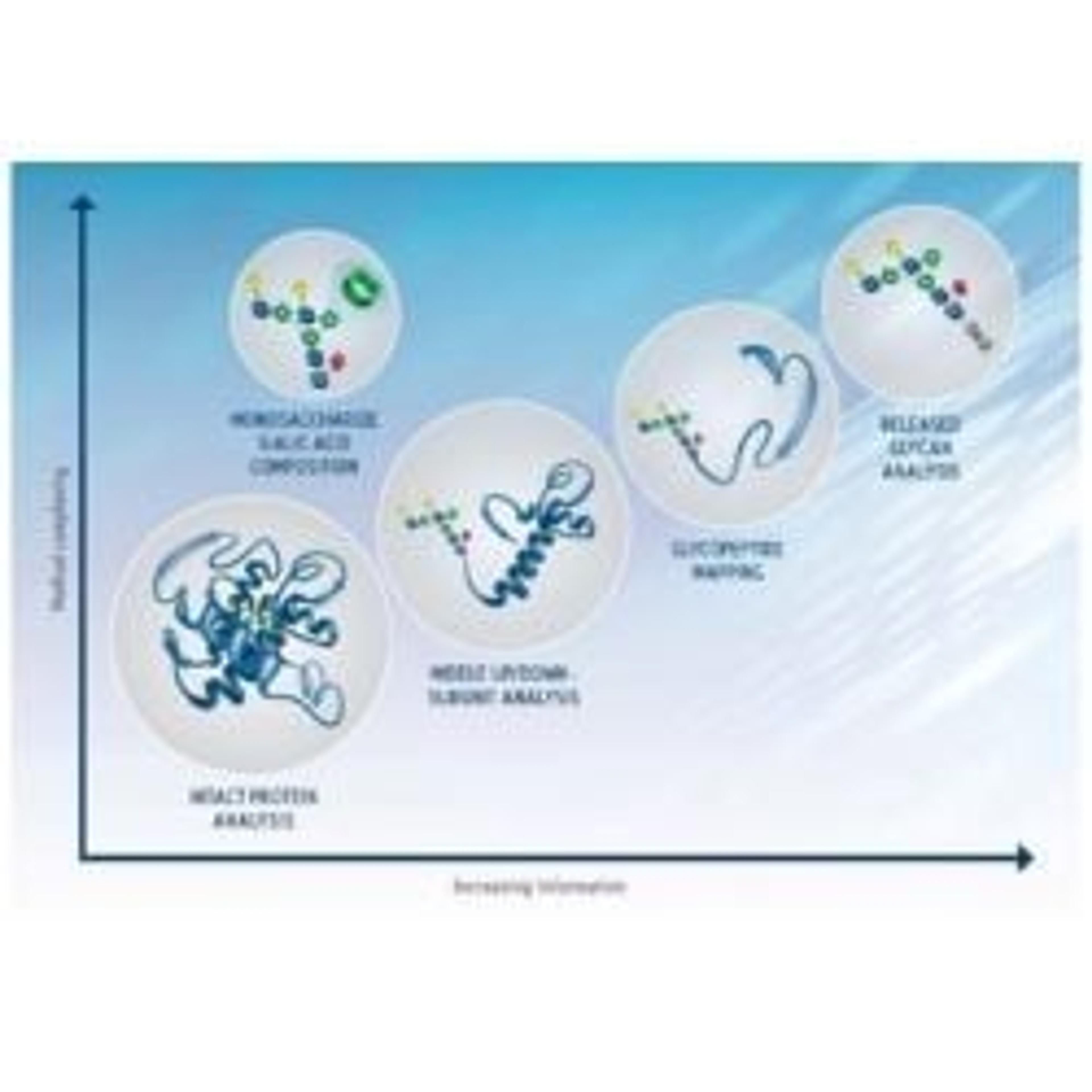 ACQUITY premier UPLC BEH HILIC glycan columns - Waters - Separations