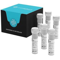 SPYRE Antibody Panels - Lunaphore Technologies - Life Sciences