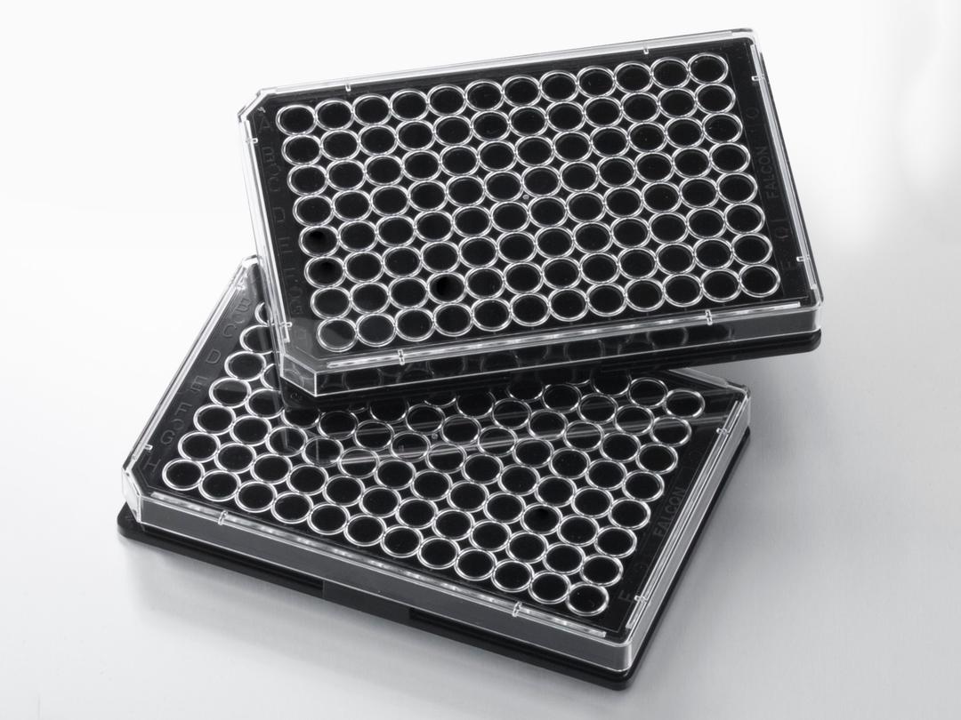 Falcon® 96-well Black Flat Bottom TC-treated Microplate, with Lid, Sterile, 8/Pack, 32/Case - Corning Life Sciences - Life Sciences