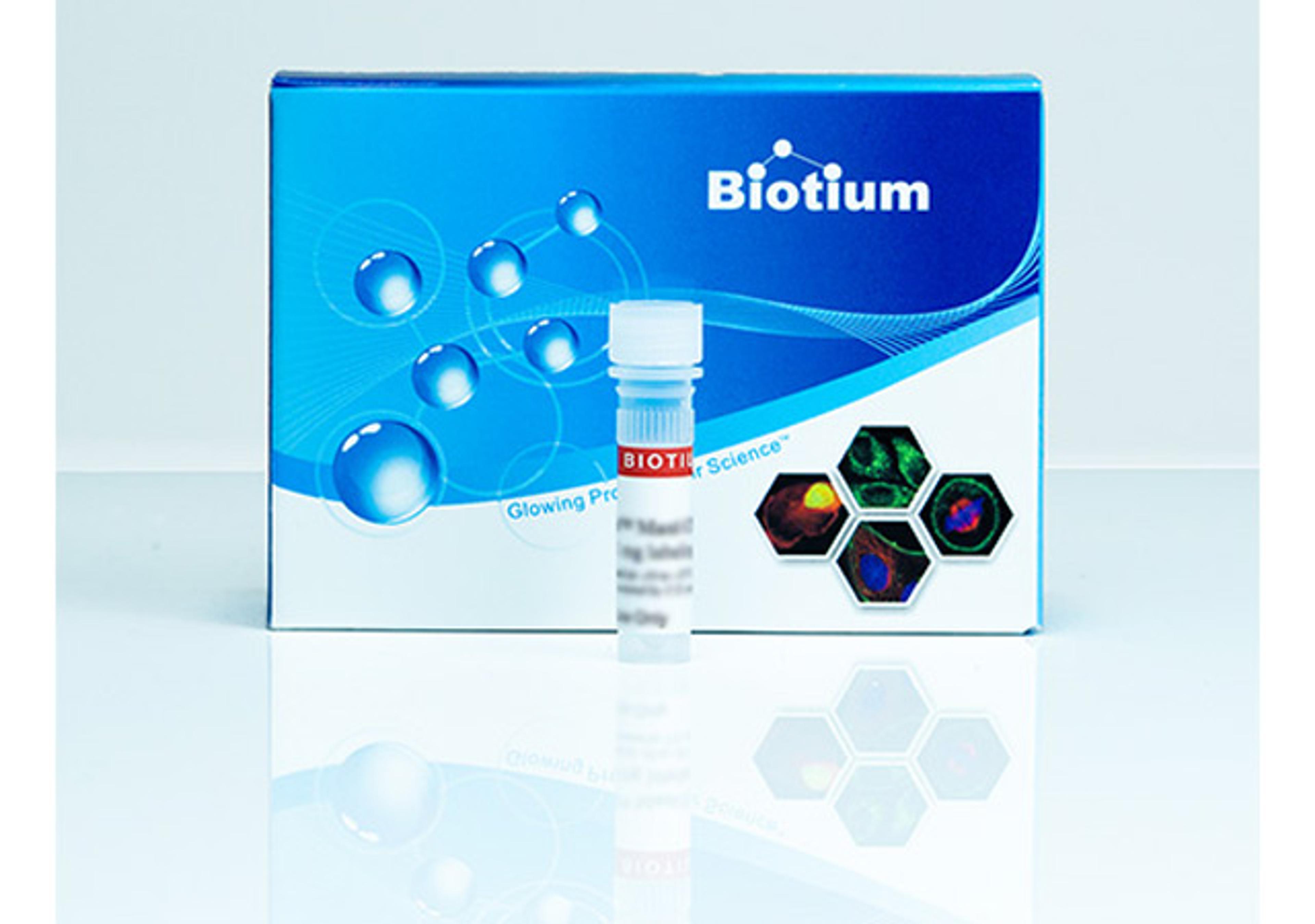 BactoSpore™ Bacterial Stains - Biotium - Life Sciences
