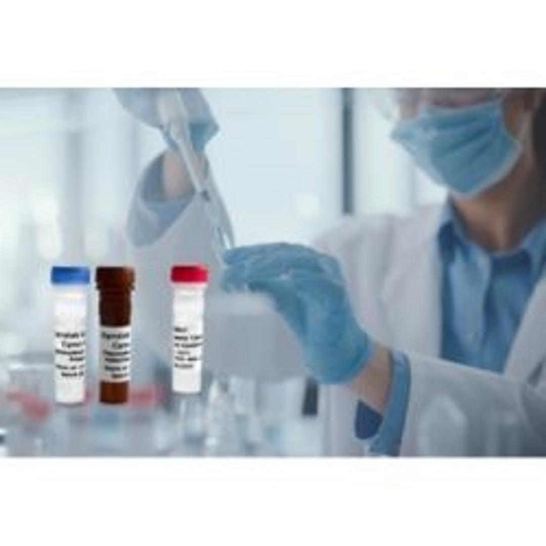 Gyrolab® Generic Cyno ADA Kit Reagents - Gyros Protein Technologies - Life Sciences