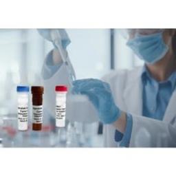 Gyrolab® Generic Cyno ADA Kit Reagents - Gyros Protein Technologies - Life Sciences