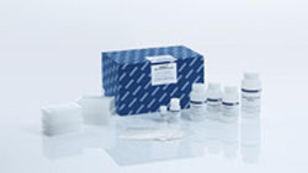 MagAttract Blood DNA/RNA Kit (384) - QIAGEN