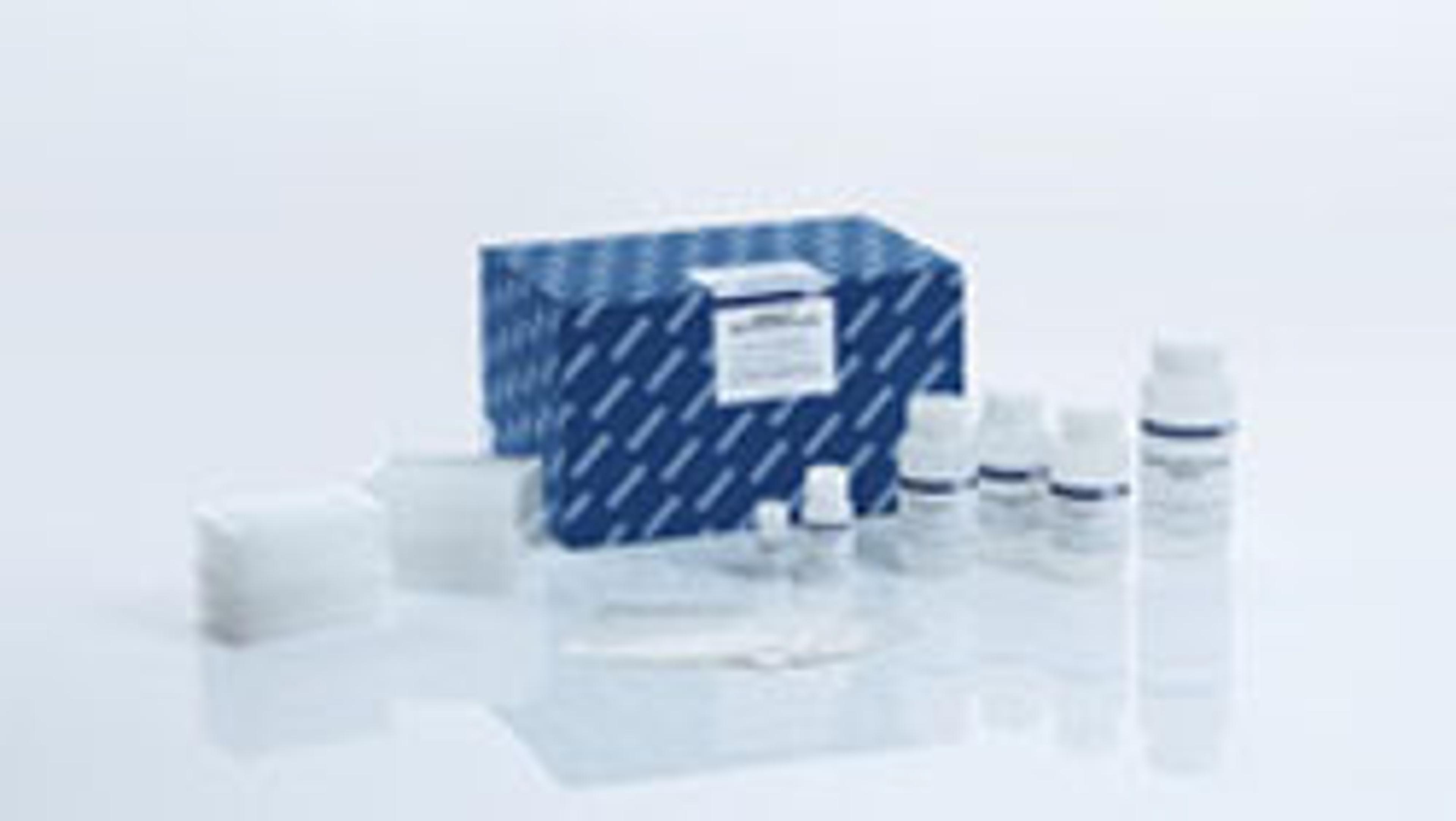 MagAttract Blood DNA/RNA Kit (384) - QIAGEN