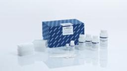 MagAttract Blood DNA/RNA Kit (384) - QIAGEN