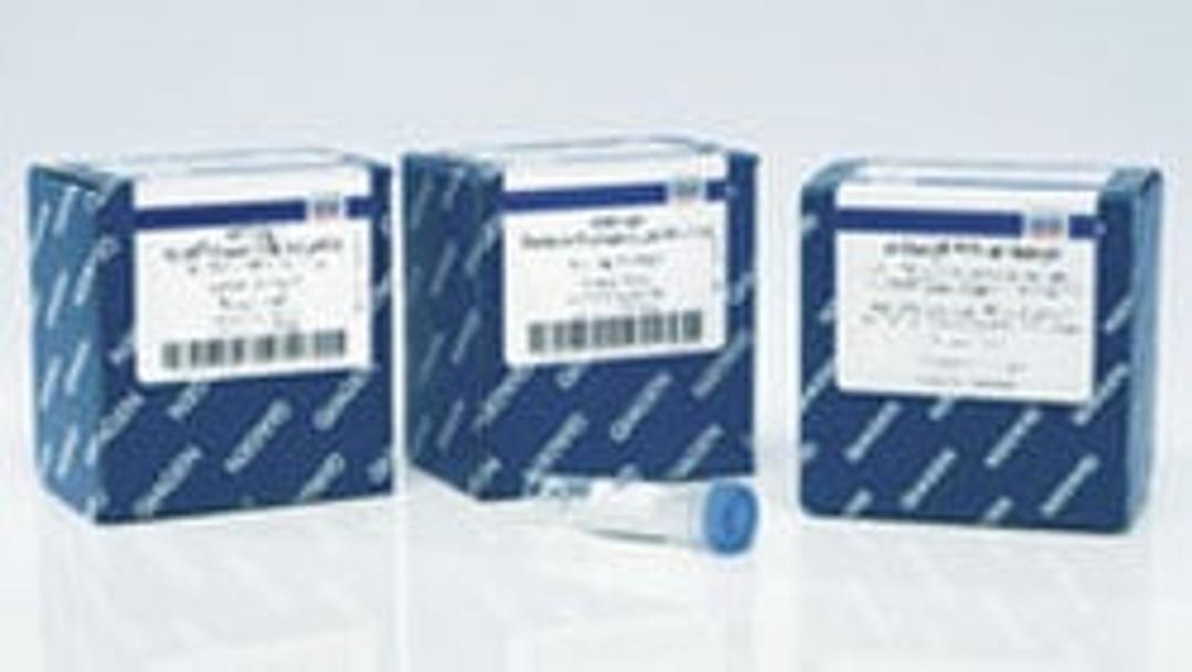 REPLI-g WTA Single Cell Kit (24) - QIAGEN