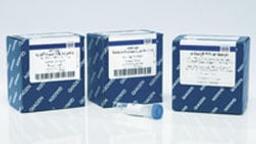 REPLI-g WTA Single Cell Kit (24) - QIAGEN