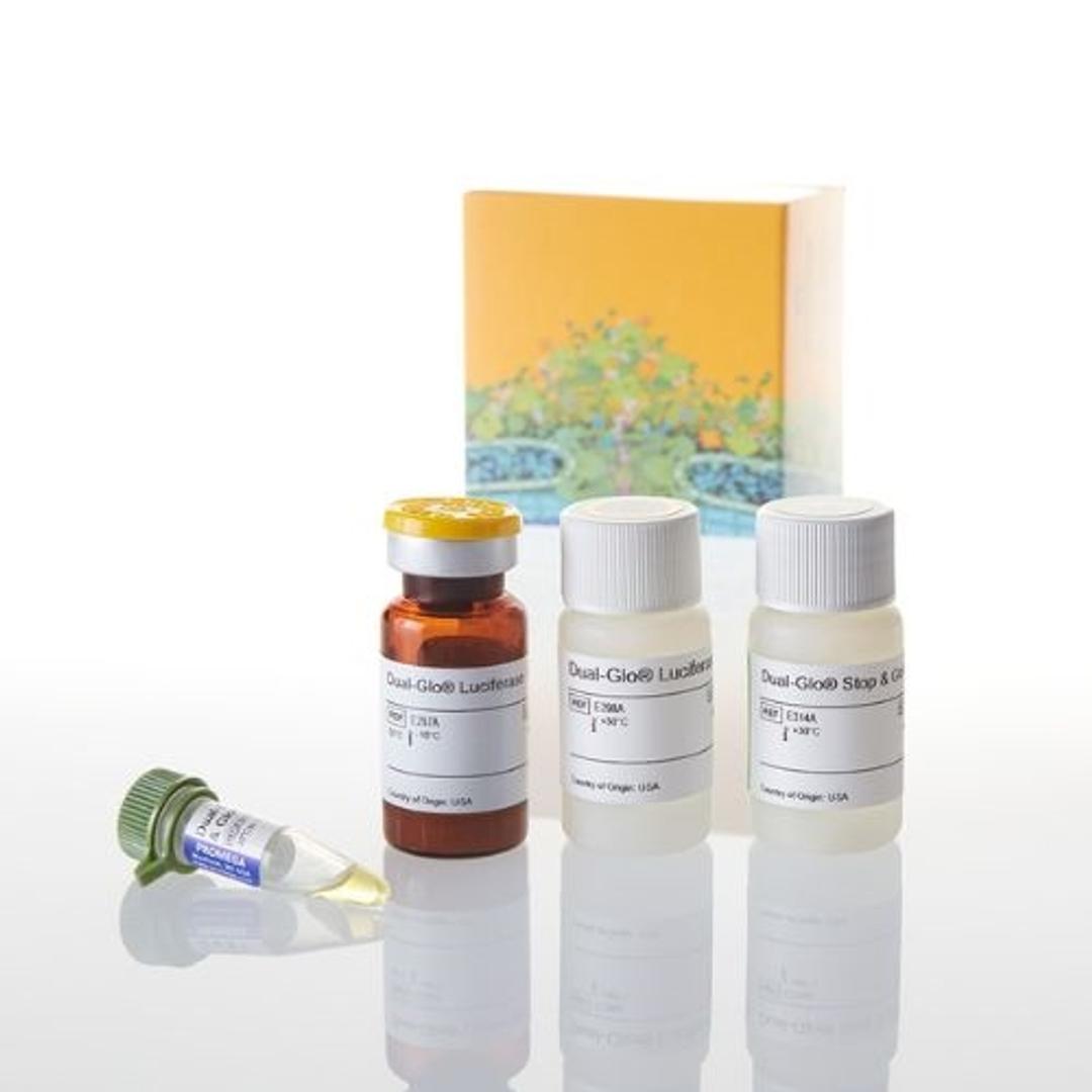Dual-Glo® Luciferase Assay System - Promega Corp. - Life Sciences