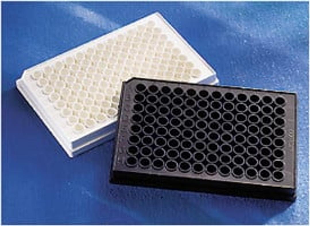 Corning® 96-well Black Flat Bottom Polystyrene NBS Microplate, 5 per Bag, without Lid, Nonsterile - Corning Life Sciences - Life Sciences