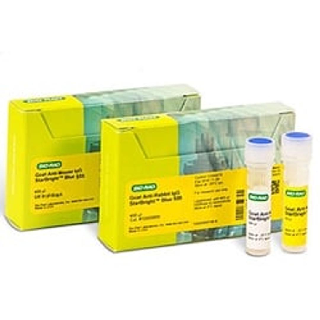 StarBright™ Blue 520 Fluorescent Secondary Antibodies - Bio-Rad - Life Sciences