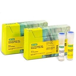 StarBright™ Blue 520 Fluorescent Secondary Antibodies - Bio-Rad - Life Sciences
