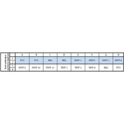 Human MMP Array C1 - RayBiotech Inc. - Life Sciences