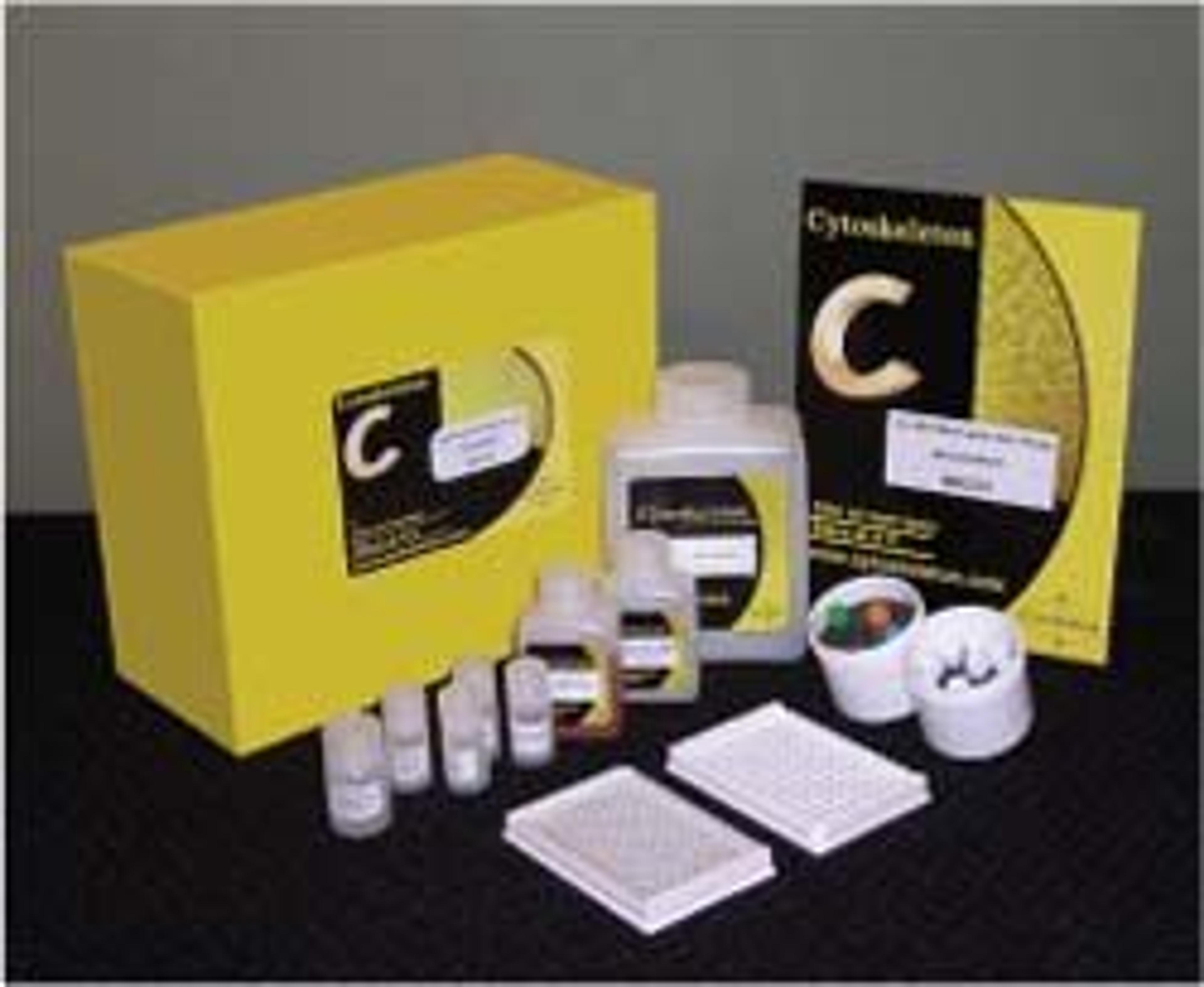 G-LISA™ Small G-protein Activation Assays - Cytoskeleton Inc. - Life Sciences