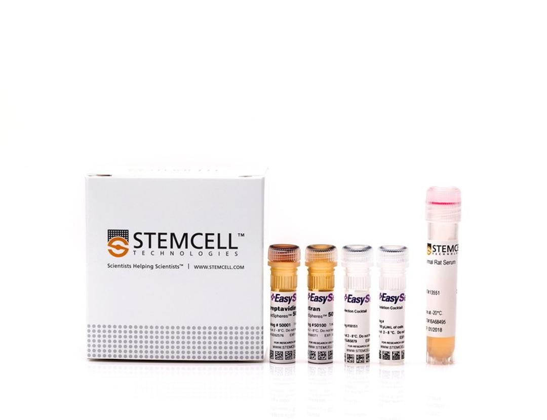 EasySep™ Mouse CD4+CD62L+ T Cell Isolation Kit - STEMCELL Technologies Inc. - Life Sciences