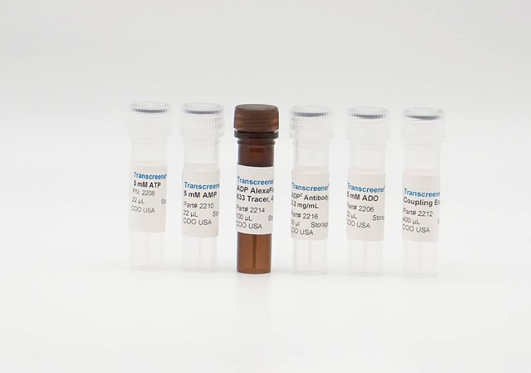 Transcreener® CD73 Activity Assay - BellBrook Labs - Drug Discovery & Development