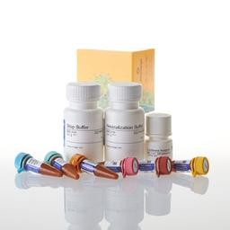 Glucose Uptake-Glo™ Assay - Promega Corp. - Life Sciences