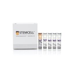 EasySep™ Release Human CD19 Positive Selection Kit - STEMCELL Technologies Inc. - Life Sciences