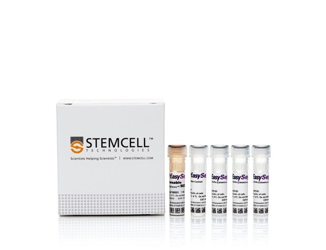 EasySep™ Release Human CD19 Positive Selection Kit - STEMCELL Technologies Inc. - Life Sciences