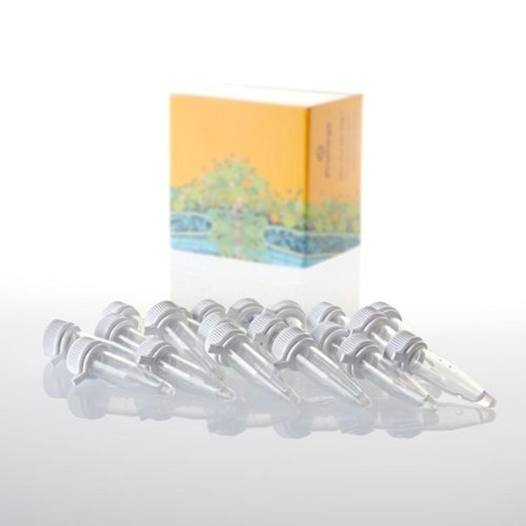 Single Step (KRX) Competent Cells - Promega Corp. - Life Sciences