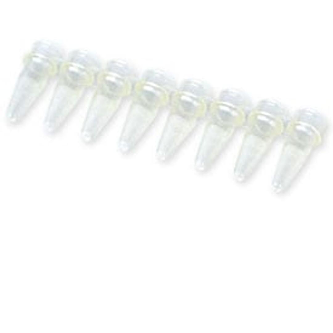 0.2 ml 8-Tube PCR Strips without Caps, high profile, yellow - Bio-Rad - Life Sciences