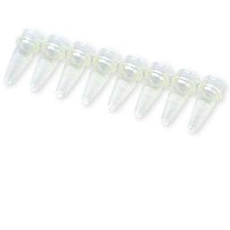 0.2 ml 8-Tube PCR Strips without Caps, high profile, yellow - Bio-Rad - Life Sciences