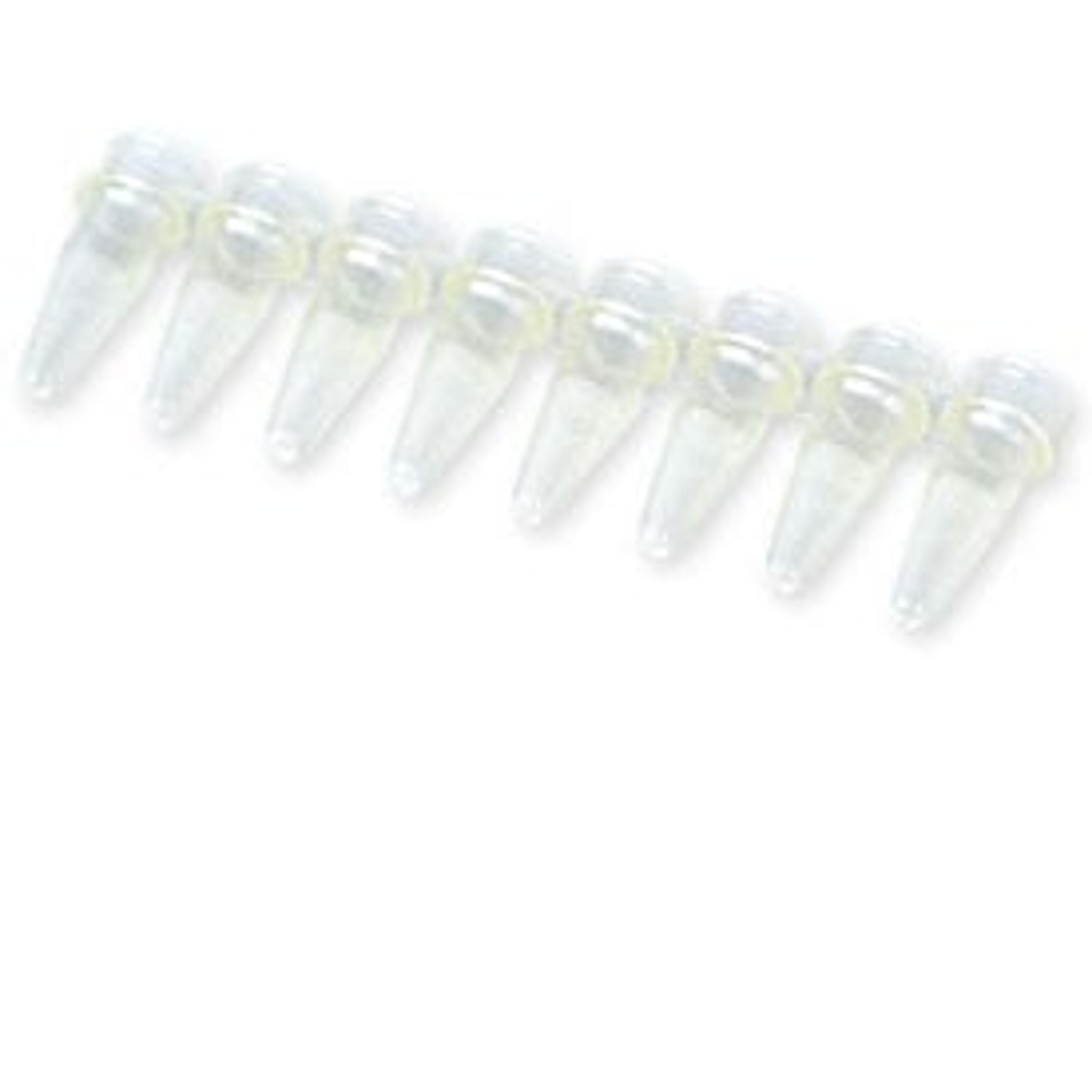 0.2 ml 8-Tube PCR Strips without Caps, high profile, yellow - Bio-Rad - Life Sciences