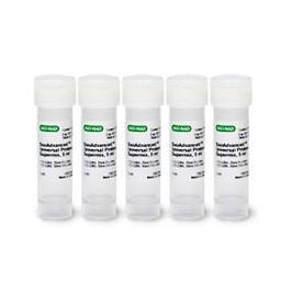 SsoAdvanced™ Universal Probes Supermix, 2,500 x 20 µl rxns, 25 ml (5 x 5 ml) - Bio-Rad - Life Sciences