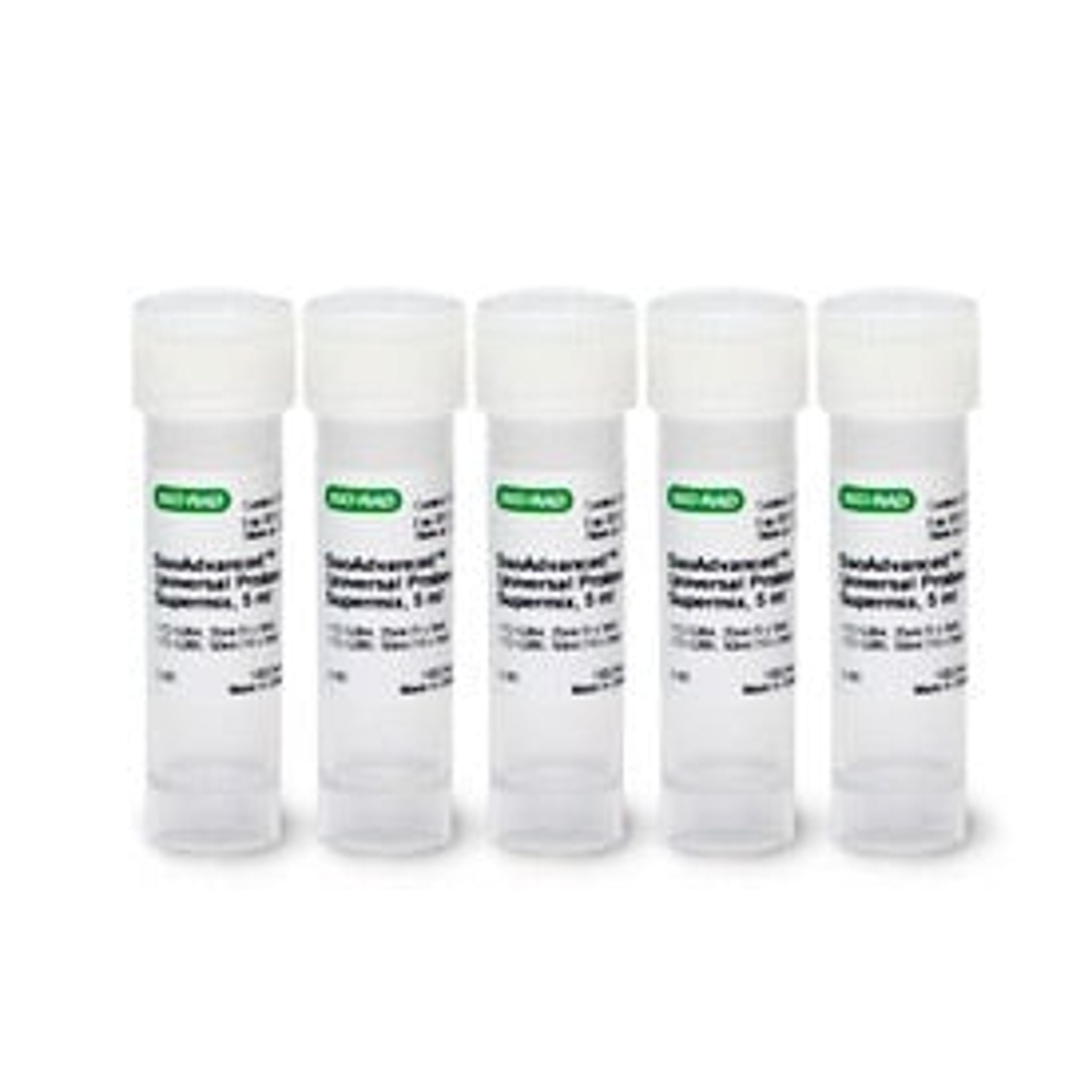 SsoAdvanced™ Universal Probes Supermix, 2,500 x 20 µl rxns, 25 ml (5 x 5 ml) - Bio-Rad - Life Sciences