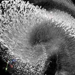 XLSLPLN25xSVMP2 - 8mm WD ScaleView multiphoton objective for deep imaging of cleared and transparent samples - EVIDENT - Life Sciences