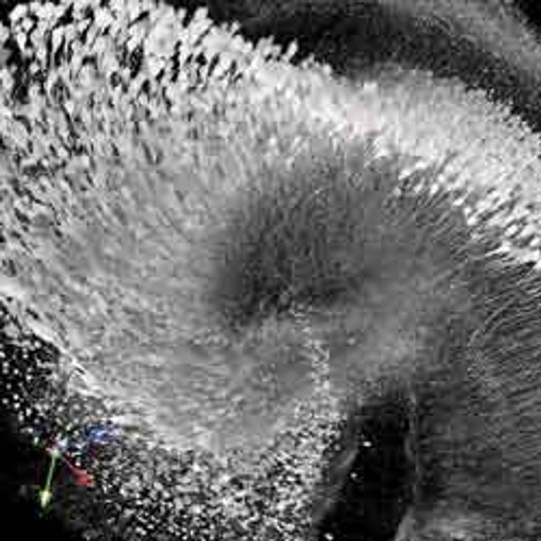 XLSLPLN25xSVMP2 - 8mm WD ScaleView multiphoton objective for deep imaging of cleared and transparent samples - EVIDENT - Life Sciences